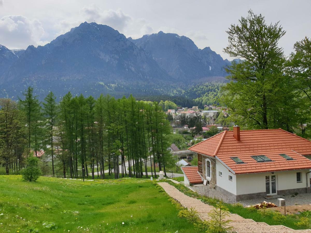 Vila Castel Cantacuzino Buşteni Exterior foto