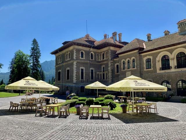 Vila Castel Cantacuzino Buşteni Exterior foto